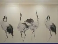 Срочный ремонт квартир, домов, офисов, фотография 4