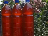 Мед пчелиный, натуральный, 2025 года., фотография 4