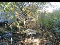 продам дачу Родники пкст Медеуский район Алматы, фотография 2