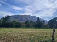 Продаем земельный участок  1 гектар возле поселка Джандосова, фотография 5