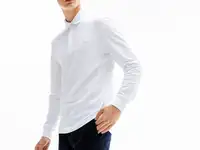 Мужское поло lacoste с длинными рукавами