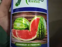 Продаем семена арбуза, фотография 6