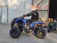 Квадроциклы 50,110,125,250сс, фотография 10