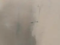 МДФ 18 мм односторонни, фотография 2