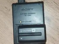 Sony A77II  объектив 18135mm SAM, фотография 3