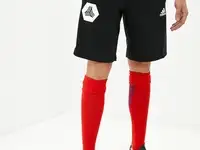 Шорты спортивные adidas