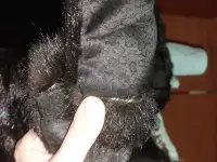 Срочно, продам норковую шубу. Рр 42-44. Реальному покупателю уступлю., фотография 4