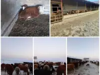 Фазенда, Кольащы, фотография 6