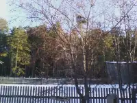 срочно продам дом, село Буланды(Лесхоз) Акмолинская область, фотография 3