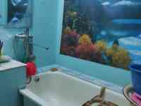 Квартира с мебелью и техникой, Серебрянская 138, фотография 2