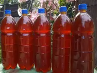 Мед пчелиный, натуральный, 2025 года., фотография 2