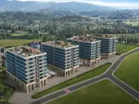 Пространство для жизни в гармонии.