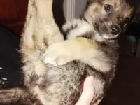 Забери меня к себе, Добрый человек, фотография 5