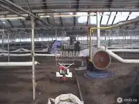 Теплица под ключ, фотография 5
