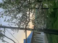 Продается добротный дом с участком, С. Достык(РТС)  ул. Макатаева (Первомайская) 13, фотография 12