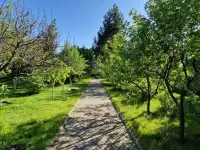 Коттедж 455 м на участке 30 сот., фотография 8