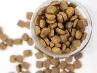 Комбикорм для собак  Стандарт, фотография 2