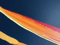 Холст Акрил , Солнечная нить, фотография 4