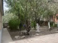 Продам дом, С.коксай, фотография 7