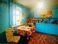 Продам лошадей и дом, ж/д станция Сокыр, фотография 3