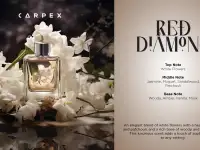 Carpex Ароматические E2  картриджи 125 МЛ, фотография 5