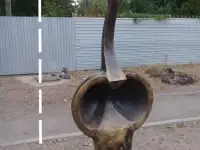 Продажа вазонов , скульптур, фотография 3