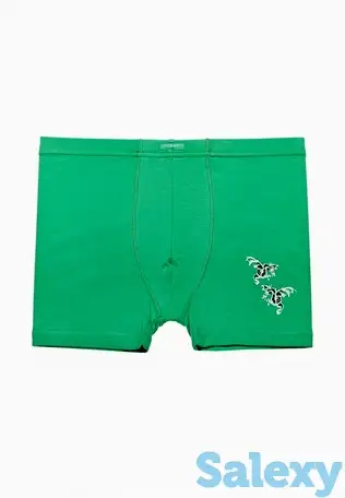 Трусы lowry collection, фотография 1