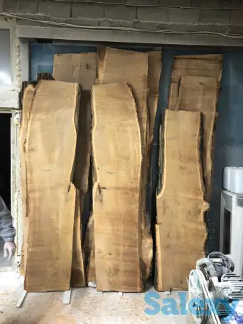 Слеб карагач., фотография 11