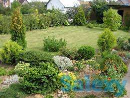 Озеленение и Благоустройство территорий любой сложности!, фотография 7