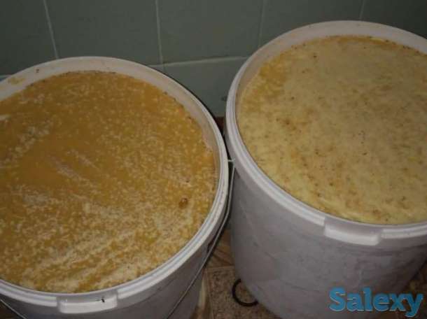 Натуральный мед ВКО. Сбор 2018. Оптом., фотография 1