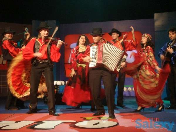 Аккордеонист/Баянист/Музыкант/Ведущий/Артисты/Цыгане, фотография 8