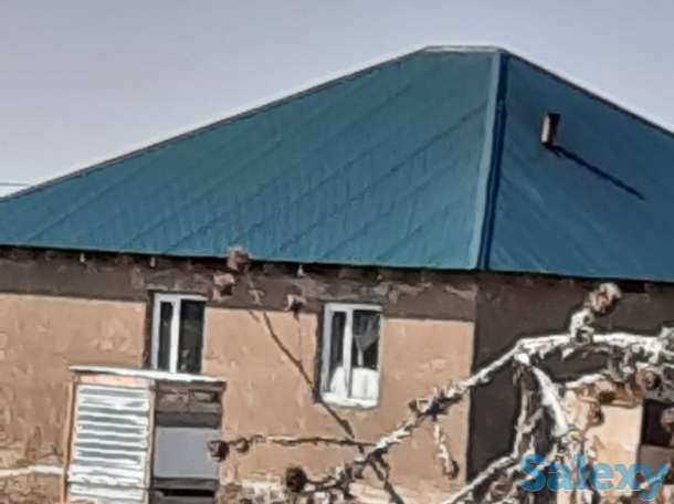 50 соток КХ Кошмамбет, фотография 4