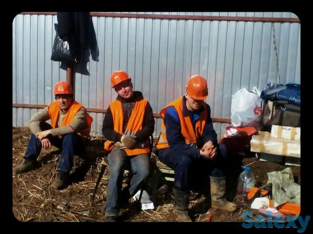 ТОО Global General Group, Предоставляет услуги разнорабочих грузчиков. Копка ям, траншей. Погрузка разгрузка фуры вагоны, фотография 3