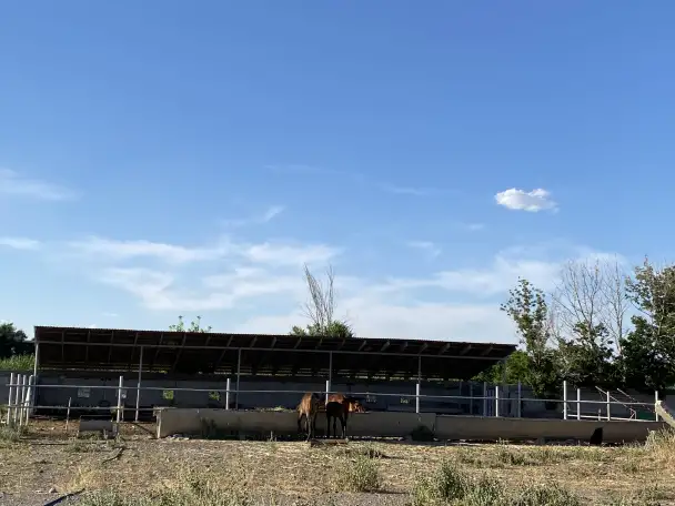 Фазенда, фотография 7