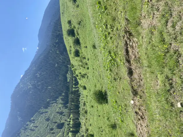 Участок 58 соток у озера колсай, Колсай, фотография 3