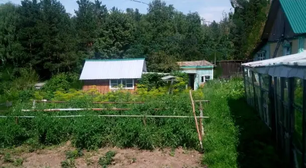 Продажа дома, Школа биатлона ул Сосновая., фотография 3