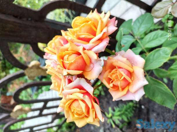 Продаем дом, фотография 10