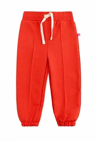 Брюки спортивные bossa nova, фотография 1