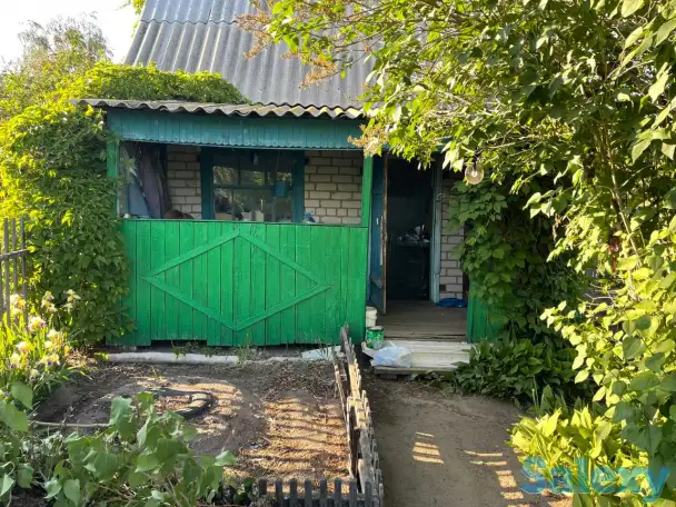 Дача. Петропавловск. Общество «Горизонт»., фотография 3