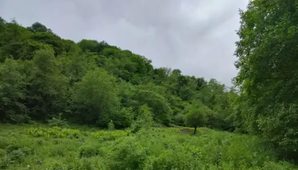 Продажа земли, алматы, фотография 1