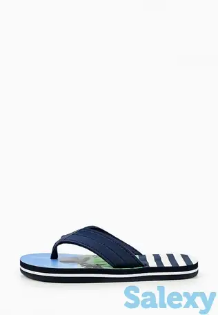 Сланцы t.taccardi, фотография 1