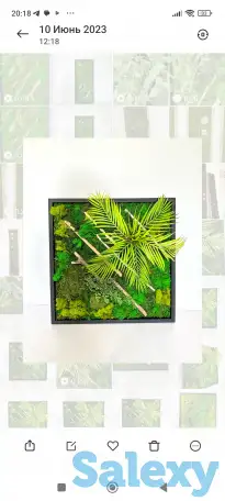 Картина из стабилизированного мха., фотография 2