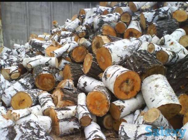 Дрова березовые, фотография 1