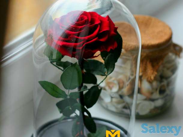Живая Роза в стеклянной колбе - Бесплатная Доставка, фотография 4