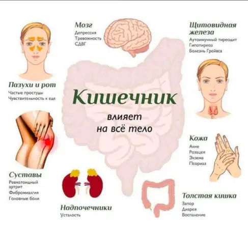 Глубокая Очистка организма, фотография 3