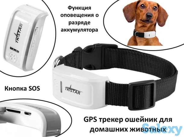 Продам GPS трекер ошейник для домашних животных, TK-STAR TK909, фотография 1