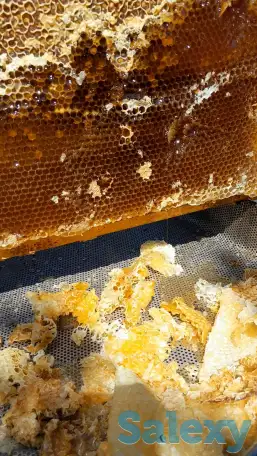 Продам мед (подсолнечник), фотография 2