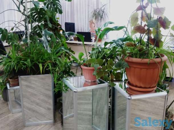 аренда офисов, улица Розыбакиева, 68, фотография 5