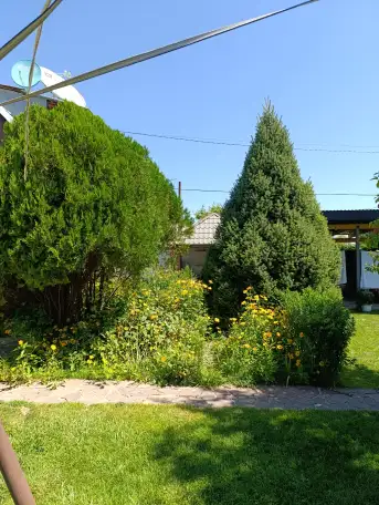 Сдается дача со всеми удобствами всё необходимое естьдла хорошего отдыха, фотография 5