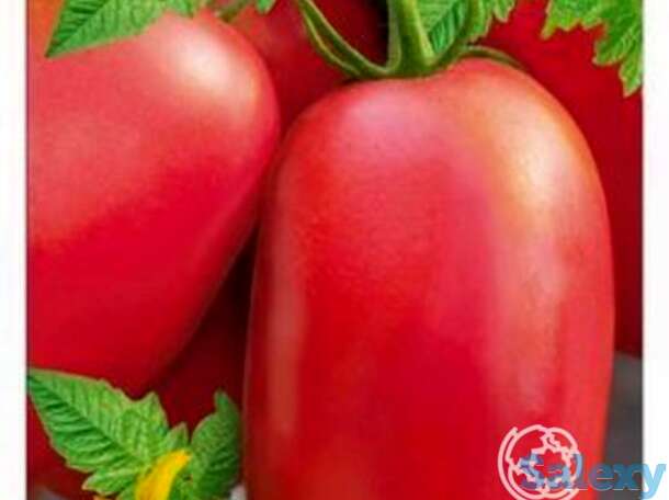 Семена Томат Банан розовый 20 шт, фотография 1